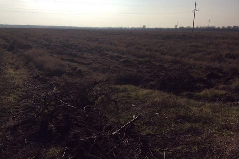 В Одесской области бульдозером выкорчевывали виноградник французского винодела