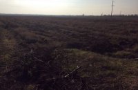 В Одесской области бульдозером выкорчевывали виноградник французского винодела