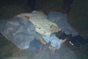 Число погибших в Киеве достигло 28 человек, - Минздрав