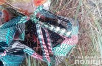 В Чернобыльской зоне задержали женщину, которая собирала чернику на продажу