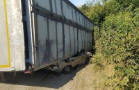 Смертельна ДТП на Київщині: фура з тваринами перекинулася на легковик