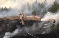 В Житомирской области в результате возгорания сухой травы сгорели восемь домов