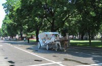 В Одессе осудили кучера за доставку проституток