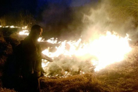 У Житомирській області літнє подружжя загинуло через спалювання сухої трави