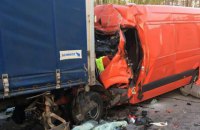Лось стал причиной ДТП со смертельным исходом в Житомирской области