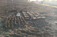 229 боеприпасов времен Второй мировой нашли во дворе частного дома в Харьковской области