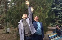 Яценюк пошел пробовать встретиться с Тимошенко