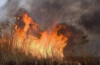 Пожар нанес Дунайскому заповеднику 9 млн гривен убытков 