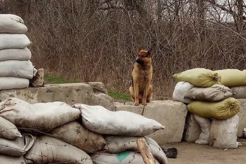 День в зоне ООС прошел без обстрелов