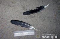На Київщині чоловік заради розваги застрелив лелеку, відкрито кримінальне провадження