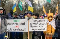 Под Радой собрался митинг против фискализации для ФЛП