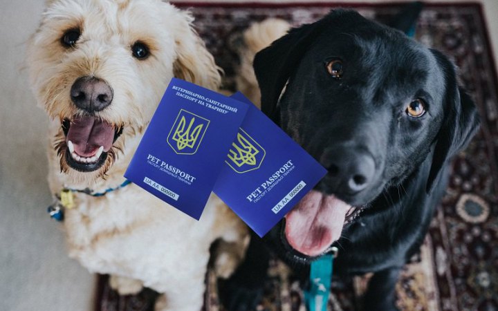 У "Дії" з’являться електронні ветпаспорти домашніх тварин