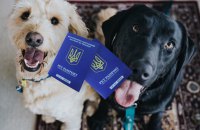 У "Дії" з’являться електронні ветпаспорти домашніх тварин