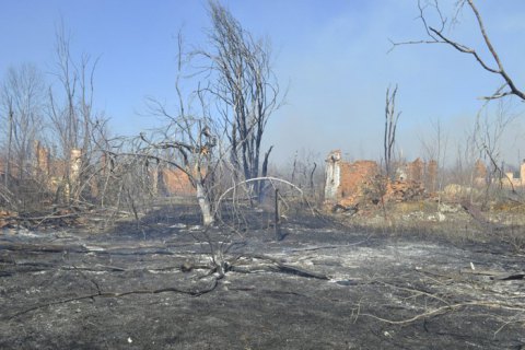 Обнародованы данные по уровню радиации в зоне отчуждения, где седьмой день продолжается пожар 