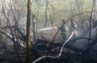 На Трухановом острове в Киеве вспыхнул пожар 