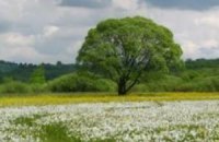 Бюджетный кодекс, Байден и экологический туризм