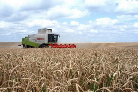 Суд возбудил дело о банкротстве одной из компаний агрохолдинга KSG Agro