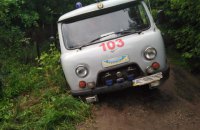 В Украине четыре человека получили травмы из-за падения деревьев в связи с погодными условиями 