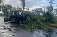 У Запоріжжі через негоду дерева попадали на дороги і пошкодили електричні дроти