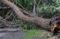 К концу воскресенья в Киеве ожидаются гроза, град и шквалы 15-20 м / с