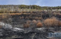 В Чернобыльской зоне насчитали более 8 миллиардов убытков от весенних пожаров