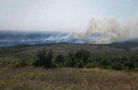 Пожежа у ландшафтному парку "Донецький Кряж" знищила 90 гектарів лісу