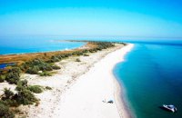 Через дії росіян на острові Джарилгач можуть зникнути рідкісні види тварин і рослин, - мер Скадовська
