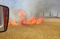 В Николаевской области горели 99 га поля с пшеницей
