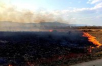Підпалювачу "Долини нарцисів" на Закарпатті оголосили про підозру