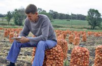 Росіяни змушують фермерів Херсонщини перереєстровувати бізнес в Криму, - Хлань