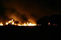 В Одесской области горят плавни Днестра