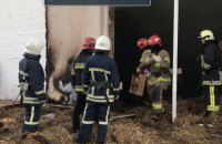 На птахофабриці під Львовом згоріло 30 тис. курчат