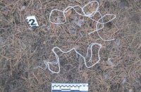 В Ахтырке женщина "в воспитательных целях" привязала ребенка к дереву и заклеила ему рот скотчем