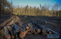 Ринок деревини вже працює, якщо ти працюєш чесно