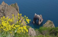 Крым передал Карадагский заповедник и двух дельфинов в собственность России, - СМИ