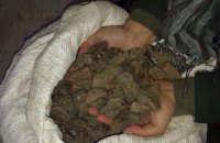 Правоохранители на Волыни изъяли 200 кг незаконного янтаря