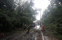Из-за непогоды обесточены 102 населенных пункта в пяти областях