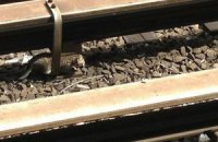В Нью-Йорке остановили метро ради спасения котят