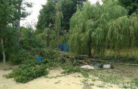 Количество погибших от падения дерева на базе отдыха возле Харькова выросло до двух