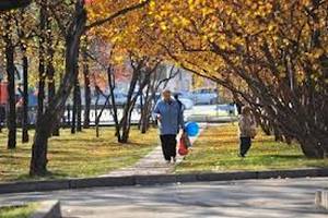 Бабье лето ожидается в Украине со следующей недели
