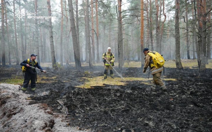 В трьох областях України триває гасіння масштабних лісових пожеж