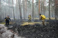 В трьох областях України триває гасіння масштабних лісових пожеж