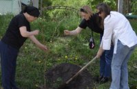 У Голосіївському районі Києва на місці смертельної стрілянини висадили сакури