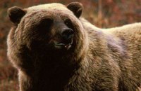 С фермы в Огайо сбежали 48 диких зверей