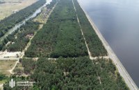 ДБР викрило спробу продати під забудову 50 га лісу на березі Дніпра вище Києва