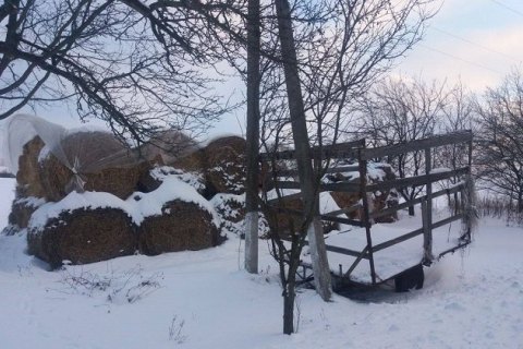 В Харьковской области мать оставила младенца в стоге сена, потому что устала