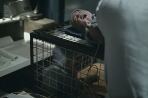 Полиция закрыла производство по возможному факту истязания детей во время съемок фильма "ДАУ. Дегенерация"