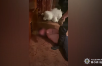 В Кременчуге мужчина из окна многоэтажки обстрелял полицейских