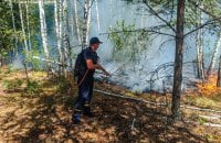 ​На Житомирщині ліквідували пожежу в заповіднику, яка тривала більше тижня 
