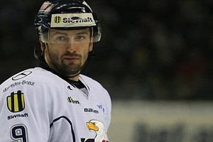 ПХЛ: Беркут подписал словацкого форварда